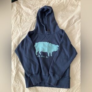 Classic Cape May Kids Hoodie with Blue Pig Graphic